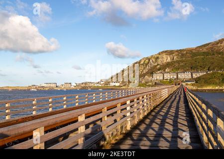 Die Barmouth-Mautbrücke über den Afon Mawddach-Fluss, Barmouth, Gwynedd, Wales, Großbritannien Stockfoto