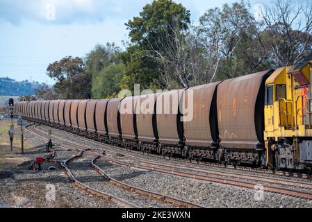 Eine QR National, Lok der Klasse 5020 und Kohlewagen hielten am Bahnhof Willow Tree im Upper Hunter Valley von New South Wales Stockfoto