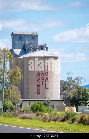 Ein Farmen nicht Kohle Protest anmelden in großen Buchstaben wird auf die Seite eines in Privatbesitz befindlichen Getreidesilo in der Nähe im Outback im Norden Westen von New South Wales lackiert Stockfoto