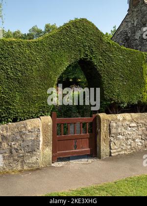 Gewölbte Öffnung in einer privaten Hecke über einem Holztor im Dorf Ashford in the Water, Derbyshire, Großbritannien Stockfoto