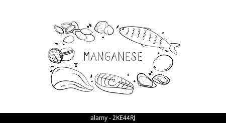 Mangan-haltige Lebensmittel. Gruppen von gesunden Lebensmitteln mit Vitaminen und Mineralstoffen. Set aus Obst, Gemüse, Fleisch, Fisch und Milchprodukten. Stock Vektor