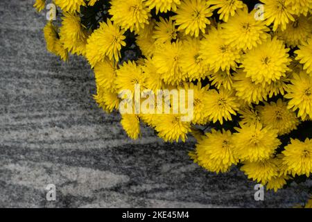 Ein Bouquet aus gelben, winzigen Chrysanthemen. Das Foto wurde unter natürlichen Lichtbedingungen aufgenommen. Stockfoto