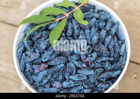 Frische blaue Geißblatt, auch als Honigbeere bekannt, ein Hintergrund von blauen Beeren mit grünen Blättern. Modische Tönung. Stockfoto