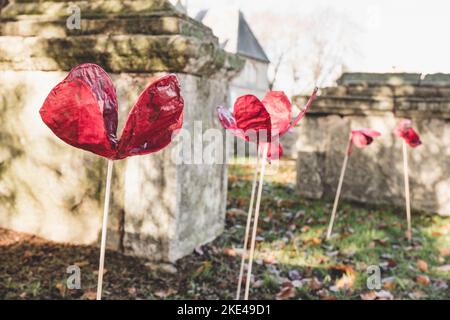 Keramikmohn wurde auf dem Friedhof in der St. Mary's Church, Witney, zum Gedenktag in den Boden geschubst Stockfoto