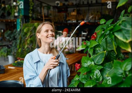 Junge Frau Dekorateurin gießt Rosenbusch in Floristen-Werkstatt Stockfoto