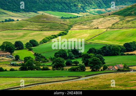 Farrmland auf der Crossley Side in der Nähe von Ainthorpe Rigg bei Danby im North York Moors National Park Yorkshire England UK. Stockfoto