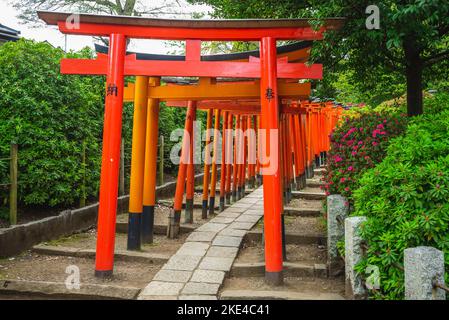 Der Pfad der Torii am Nezu-Schrein in tokio, japan. Übersetzung: Votivopfer Stockfoto