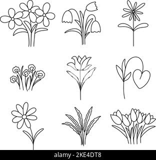 Blumen und Kräuter Set Vektor-Illustration Stock Vektor