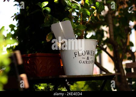 Ein Eimer auf einem Holztisch mit Blumen und Garten darauf. Zwischen verschiedenen Pflanzen bedeckt, neben einem Blumentopf mit einem Zeichen darin. Stockfoto