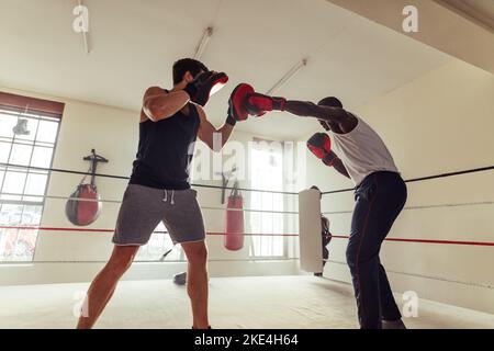 Fighter, der die von seinem persönlichen Trainer in einem Boxring gehaltenen Fokushandschuhe anschlagen kann. Junger Boxer übt mit seinem Boxtrainer Schlagtechniken. Stockfoto