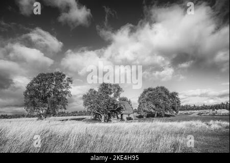 Das Bild zeigt das Leanach Crofters Cottage auf dem Schlachtfeld von Culloden Moor in der Nähe von Inverness Stockfoto