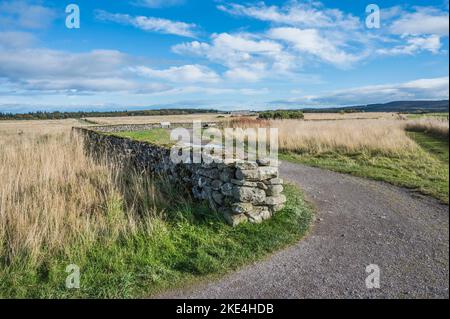 Diese allgemeine Szene ist vom Schlachtfeld des Culloden Moor in der Nähe von Inverness, wo sich 1746, Stockfoto