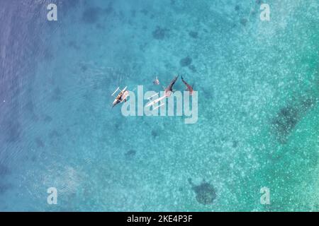 Whalesharks schwimmen in Ozeandrohnen-Luftaufnahmen Cebu Philippinen Stockfoto