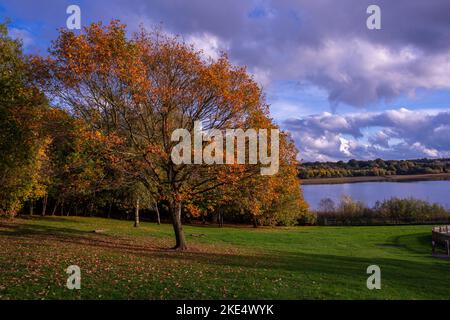 Herbstlandschaft in South Derbyshire Stockfoto