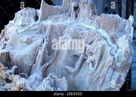 Alte alte versteinerte Holz, Ausgrabung, Mineralien, als schöner Hintergrund Nahaufnahme Vorderansicht schmale Fokuslinie, geringe Tiefenschärfe Makro Stockfoto