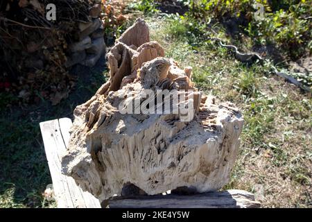 Alte alte versteinerte Holz, Ausgrabung, Mineralien, als schöner Hintergrund Nahaufnahme Vorderansicht schmale Fokuslinie, geringe Tiefenschärfe Makro Stockfoto