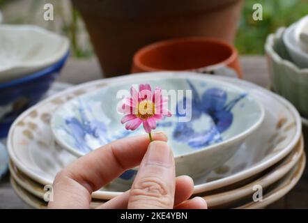 Beschnittene Hand mit einer rosa Gänseblümchen im Hintergrund von Keramikschalen Stockfoto