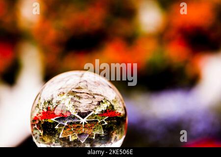 Eine klare Kristallkugel, die einen leuchtend roten Blumengarten reflektiert, der auf einem unscharfen Hintergrund isoliert ist Stockfoto