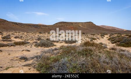 Karge Vulkanlandschaft mit Trockenpflanzen im Naturpark Los Volcanes auf Lanzarote, Kanarische Inseln, Spanien. Stockfoto