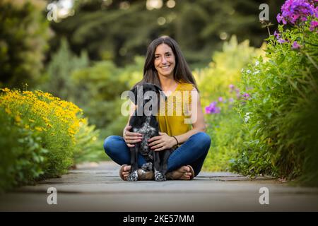 Junger Dalmatiner-Rhodesier-Ridgeback Stockfoto
