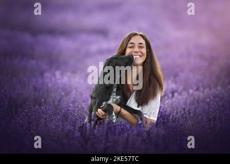 Junger Dalmatiner-Rhodesier-Ridgeback Stockfoto