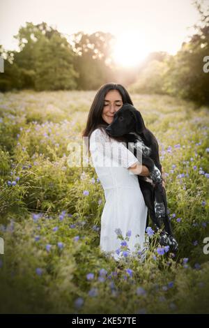Junger Dalmatiner-Rhodesier-Ridgeback Stockfoto