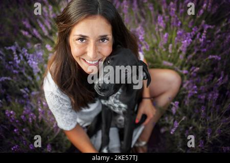 Junger Dalmatiner-Rhodesier-Ridgeback Stockfoto