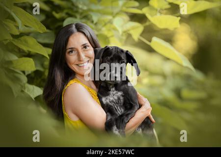 Junger Dalmatiner-Rhodesier-Ridgeback Stockfoto