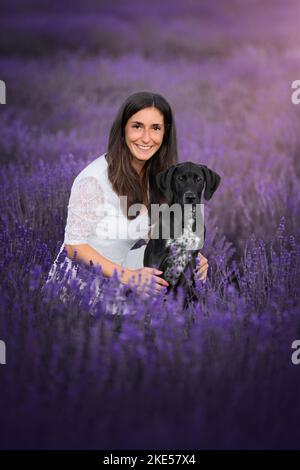 Junger Dalmatiner-Rhodesier-Ridgeback Stockfoto