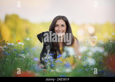 Junger Dalmatiner-Rhodesier-Ridgeback Stockfoto