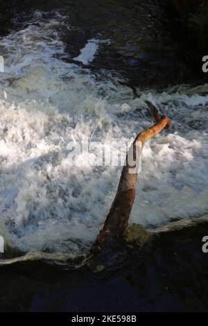 Eine vertikale Aufnahme eines Flusses neben einem stark strömenden Wasserfall Stockfoto