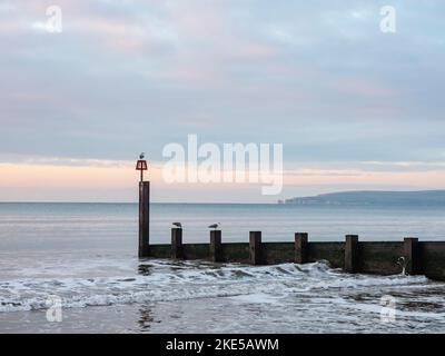 Morgengrauen am Strand mit Blick auf Old Harry Rocks und Purbeck Coast, Bournemouth, Dorset, England Stockfoto