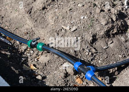 Kugelventil für Tropfbewässerung. Neues Tropfbewässerungssystem in einem Park vor dem Pflanzen, Kugelhahn aus der Nähe, selektiver Fokus Stockfoto