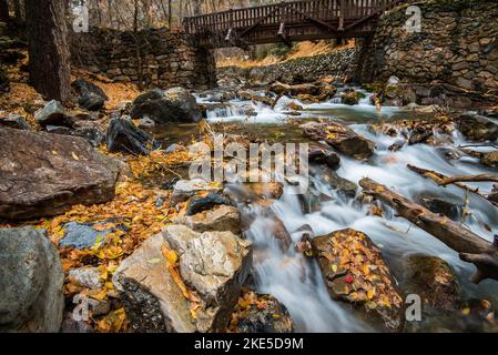 Kaskadierende Gebirgsbach mit herbstlichen Herbstblättern. Die Natur schafft zusätzliche Schönheit, nachdem die Blätter gefallen sind. Waldboden ist eine weitere Palette. Stockfoto