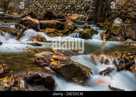 Kaskadierende Gebirgsbach mit herbstlichen Herbstblättern. Die Natur schafft zusätzliche Schönheit, nachdem die Blätter gefallen sind. Waldboden ist eine weitere Palette. Stockfoto