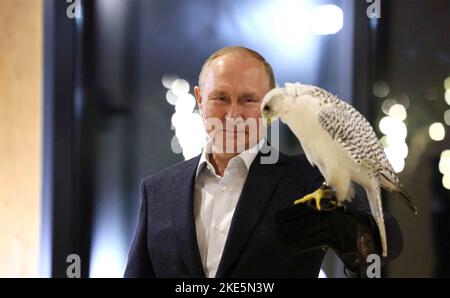 Komsomolsky, Russland. 09. September 2022. Der russische Präsident Wladimir Putin hält einen weißen Gyrfalken, die größte Falkenart, während eines Besuchs im Kamtschatka Falcon Center am 9. September 2022 im Milkovsky-Bezirk im Kamtschatka-Gebiet, Russland. Kredit: Gavriil Grigorov/Kremlin Pool/Alamy Live Nachrichten Stockfoto