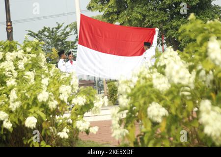 Madiun, Ost-Java, Indonesien. 10.. November 2022. Die Pusaka Flag-Raising Truppe (Paskibraka) wurde während der Gedenkfeier zum Nationalen Heldentag im Innenhof des Ronggo Djemeno Pavillons, Madiun Regency, gesehen, wie sie die rot-weiße Flagge schwenkte. Diese Gedenkfeier trug das Thema ''Mein Held, mein Beispiel' (Kreditbild: © Ajun Ally/Pacific Press via ZUMA Press Wire) Stockfoto