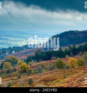 Blick über Wharfedale von Cow & Calf Rocks (braune Bracken & Heidekraut, Almscliffe Crag über das Tal, schwarze Wolken) - Ilkley, West Yorkshire, England, Großbritannien. Stockfoto