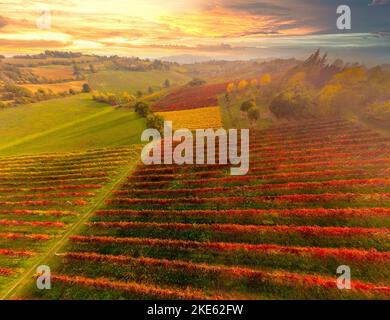 Schöne Luft Panoramablick Herbst Weinberg bei Sonnenuntergang aufgenommen.Castelvetro, Provinz Modena, Emilia Romagna, Italien.Lambrusco Weinberge.schöne Itali Stockfoto