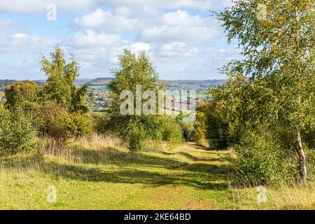 Ein Blick auf Painswick vom Cotswold Way National Trail Fernwanderweg im Herbst über Rudge Hill, Edge Common, Gloucestershire UK Stockfoto