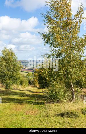 Ein Blick auf Painswick vom Cotswold Way National Trail Fernwanderweg im Herbst über Rudge Hill, Edge Common, Gloucestershire UK Stockfoto