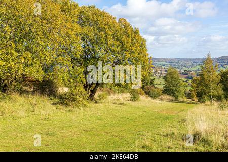 Ein Blick auf Painswick vom Cotswold Way National Trail Fernwanderweg im Herbst über Rudge Hill, Edge Common, Gloucestershire UK Stockfoto