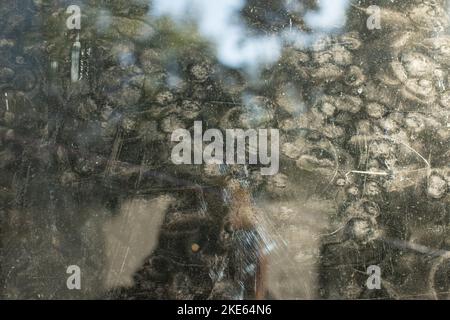 Dreckiger Spiegel auf der Straße. Spiegelung in trübem Glas. Druckt auf der Oberfläche. Stockfoto