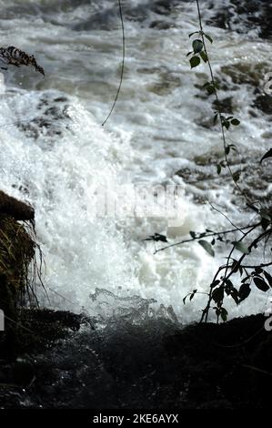 Wehr in der Afon Mellte in der Nähe der alten Gunpowder Werke, Pontneddfechan. Stockfoto