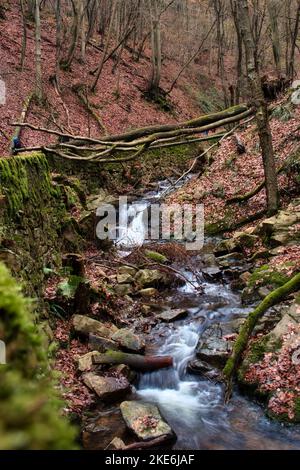 Kleiner Bach neben einem Wanderweg im Binger Wald an einem Wintertag in Deutschland. Stockfoto