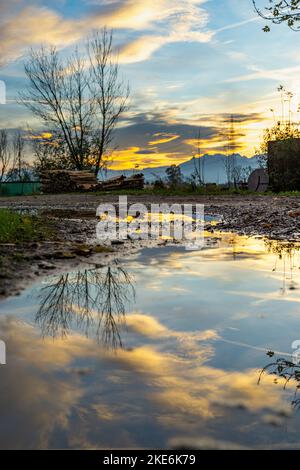 Sonnenuntergang im Rheintal, mit sich in der Pfütze spiegelnden Bäumen. Wiesen, Felder und Schweizer Bergen im Hintergrund. Föhn mit farbigen Wolken Stockfoto