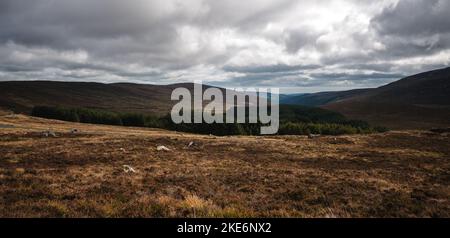 Panorama der Wicklow Mountains in Irland, Bewölktes Wetter. Stockfoto