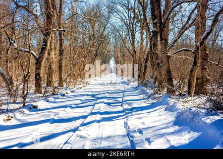 Schmale Winterstraße, die durch eine Lichtung im Wald führt Stockfoto