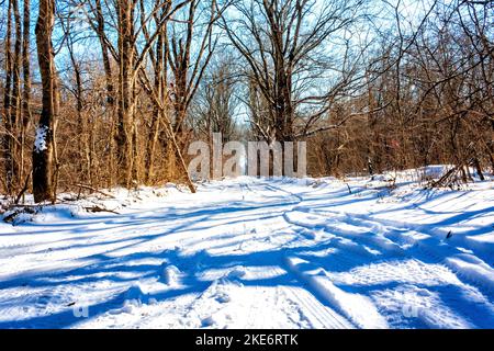 Winterlandstraße, die durch eine Lichtung im Wald führt Stockfoto