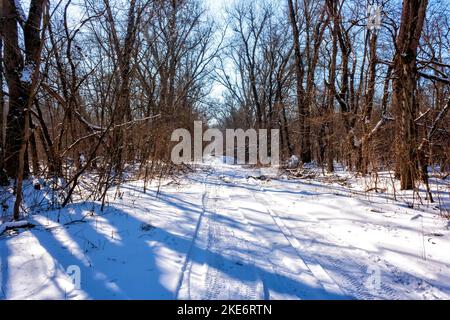 Winter Landstraße durch den Wald Stockfoto